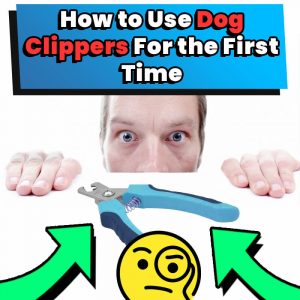 using dog clippers for the first time