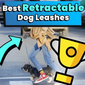 best retractable dog leash