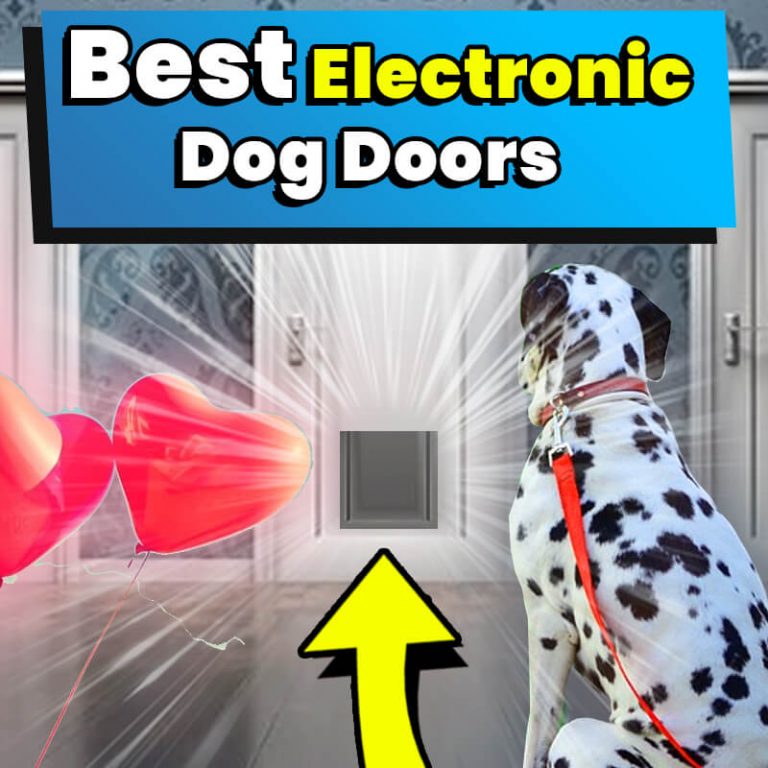 8 Best Electronic Dog Doors (2022 Reviews & Top Picks) Dog Leash Pro