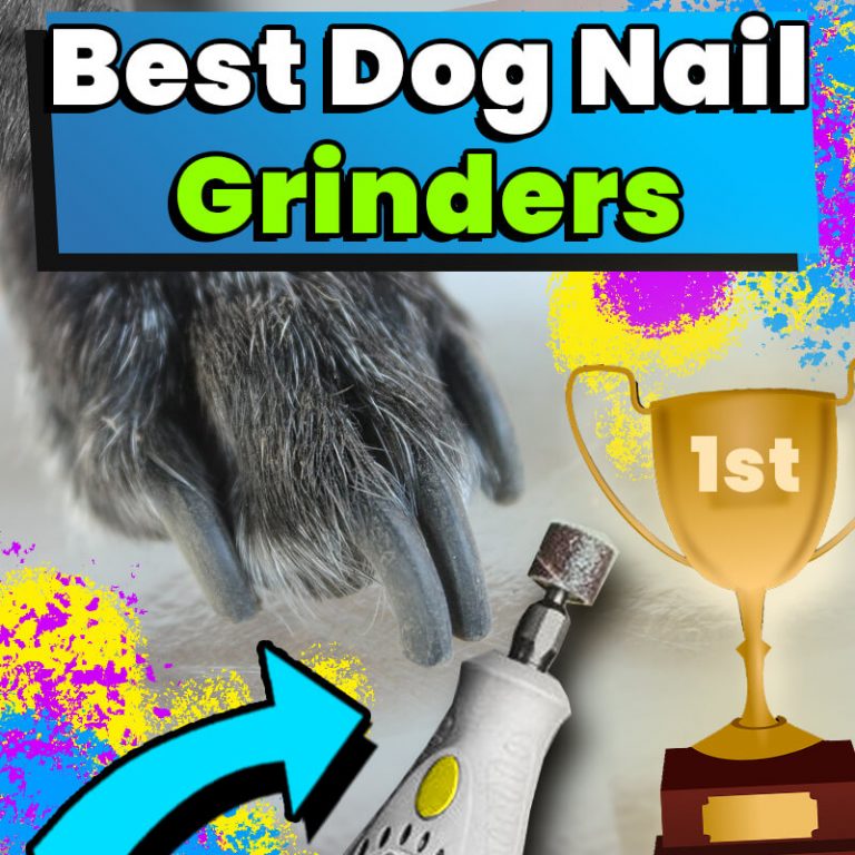 9 Best Dog Nail Grinders (2024 Reviews & Top Picks) Dog Leash Pro