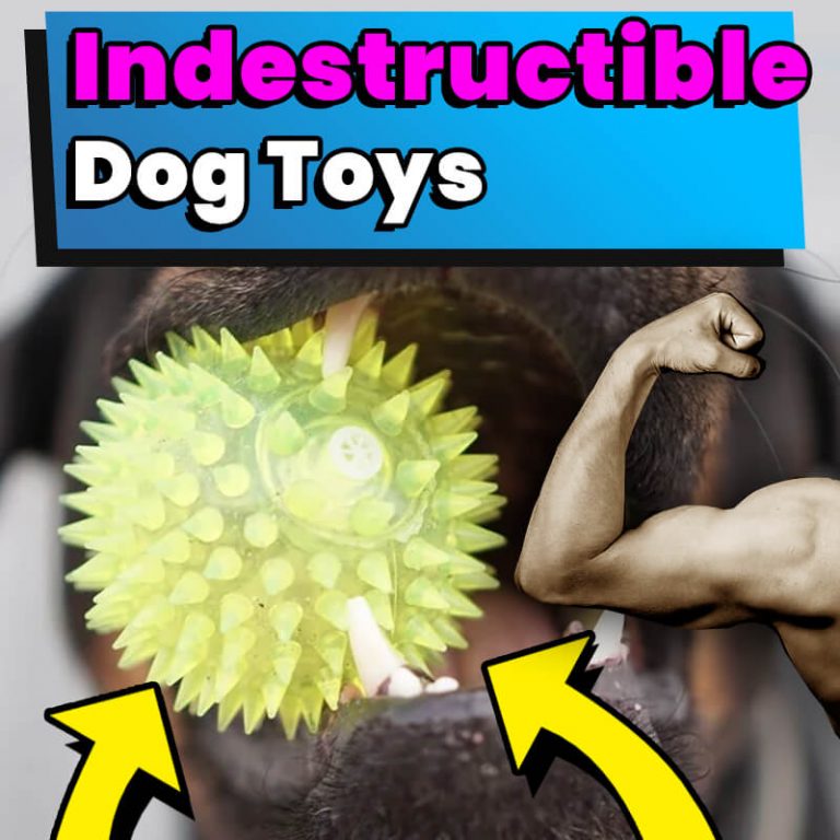 9 Best Indestructible Dog Toys (2023 Reviews & Top Picks) Dog Leash Pro