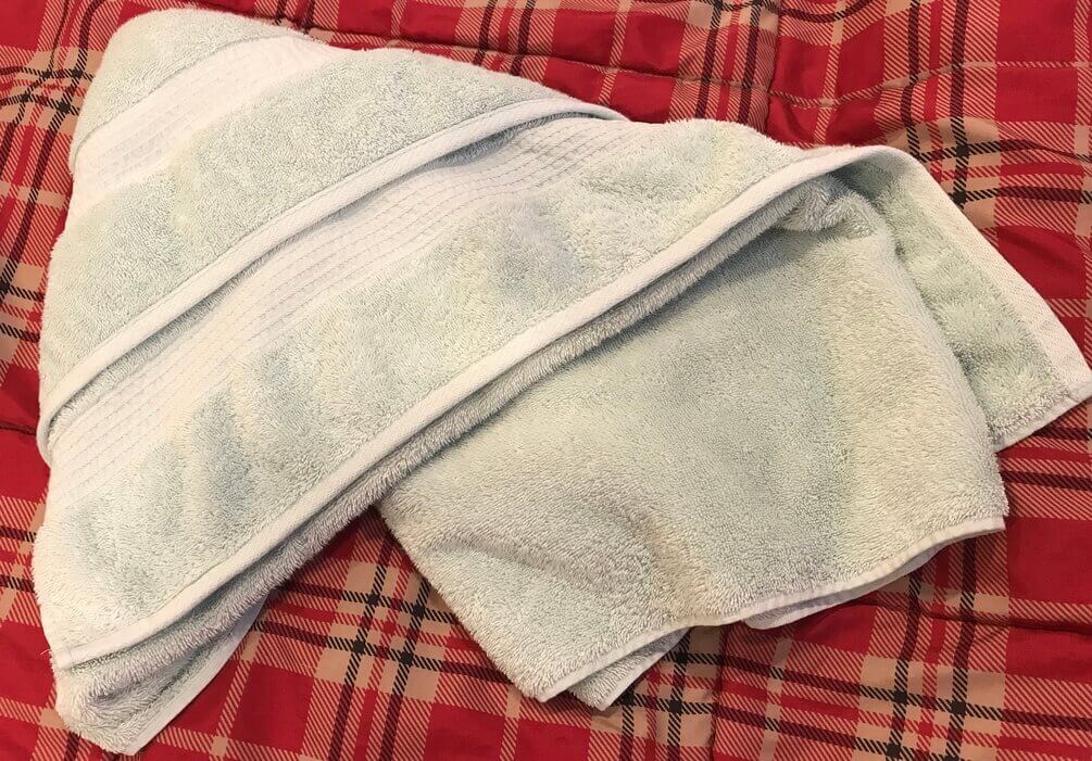 dog grooming at home service damp towel
