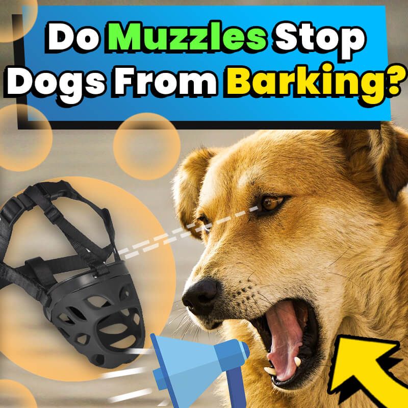 Do Muzzles Stop Dogs From Barking