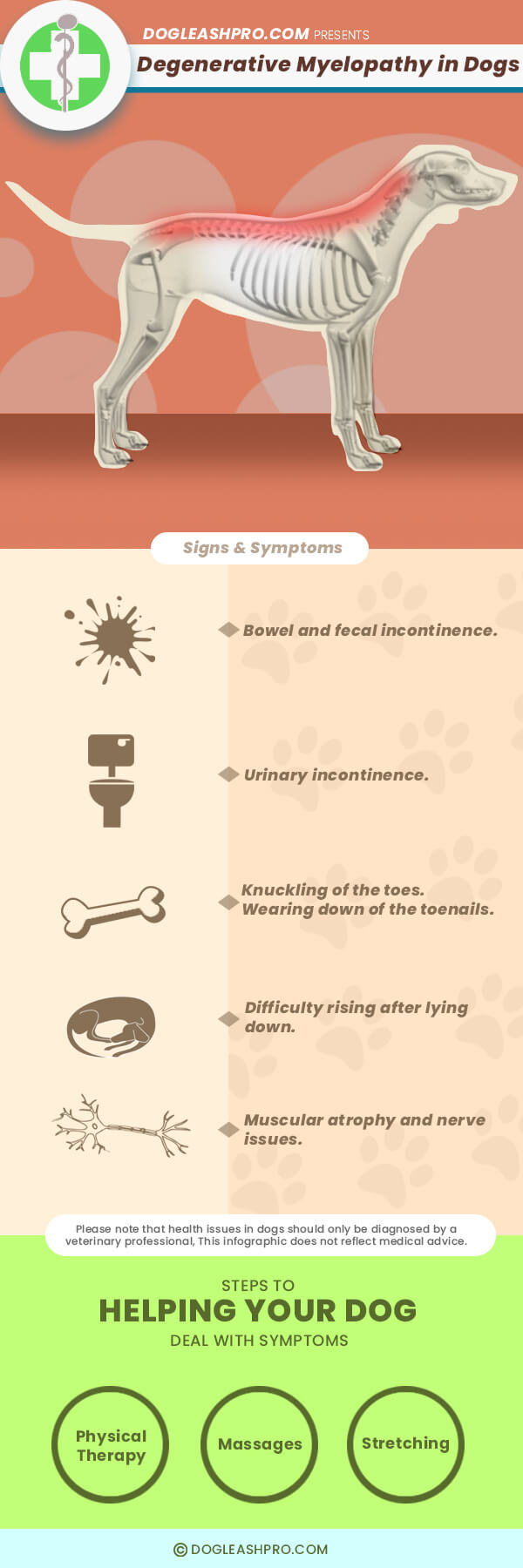 when should you euthanize a dog with degenerative myelopathy