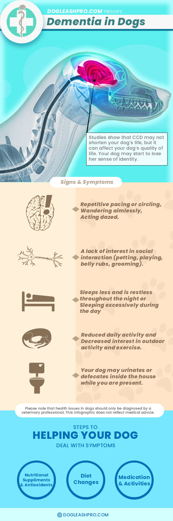 dementia in dogs infographic