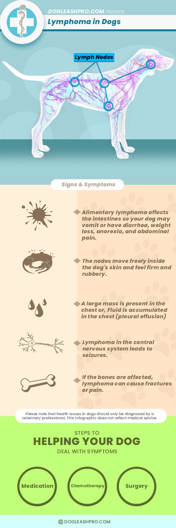 Lymphoma in Dogs infographic