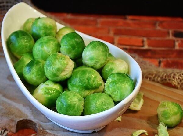 are brussel sprouts good for dogs