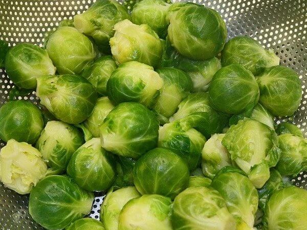 can my dog eat brussels sprouts