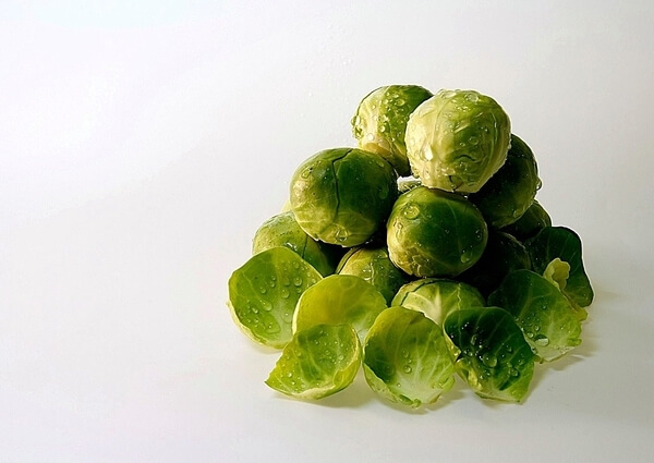 dogs brussel sprouts