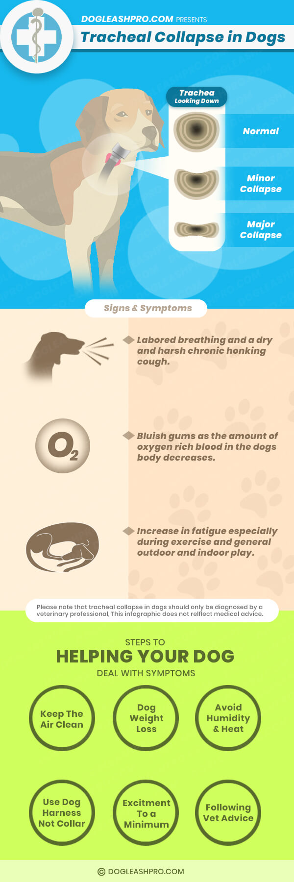 what causes collapsed trachea in dogs