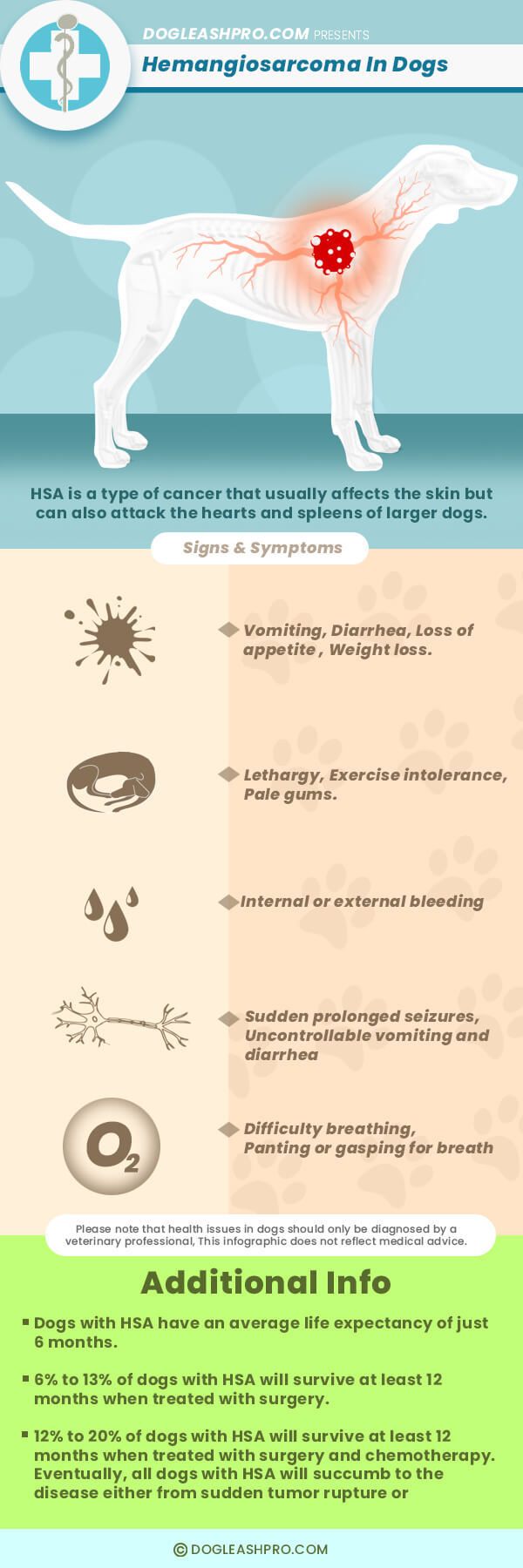 Hemangiosarcoma in dogs infographic