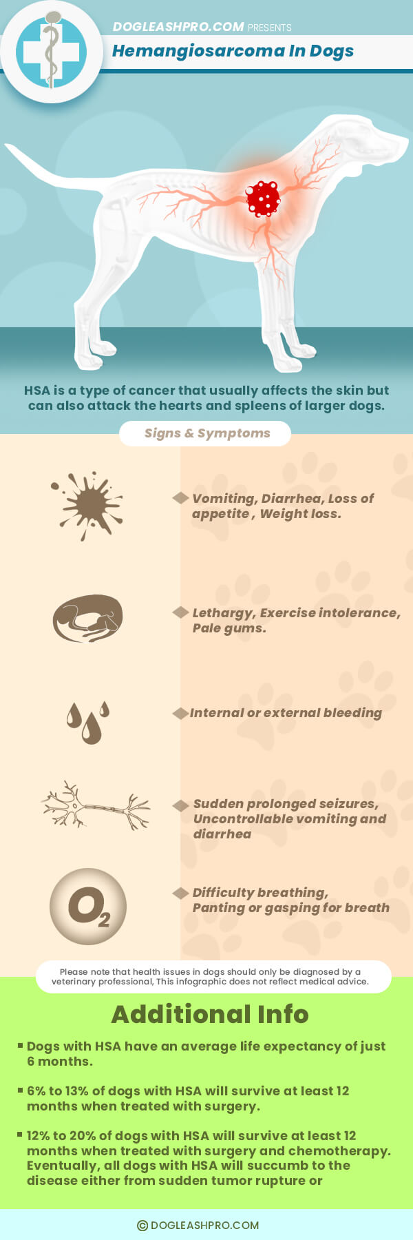 how common is spleen cancer in dogs