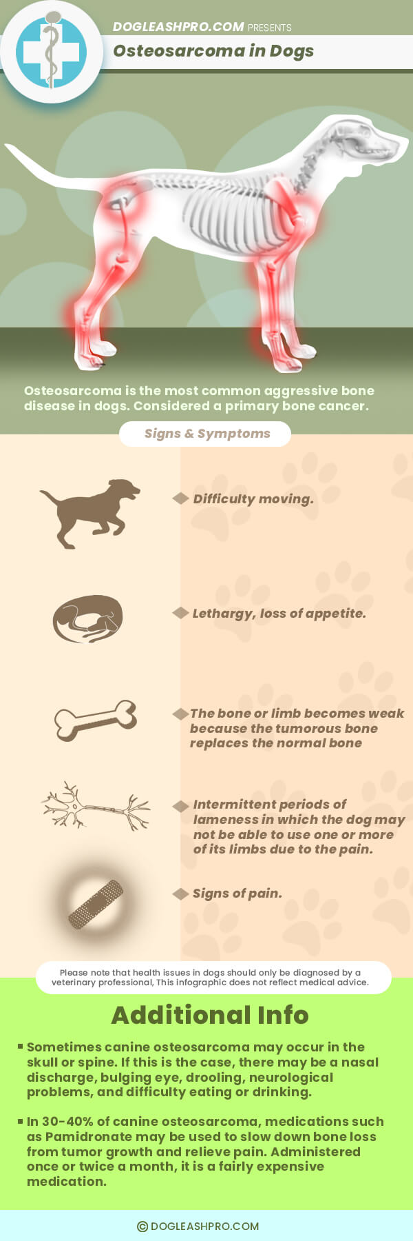 Infographic of Dog with Osteosarcoma