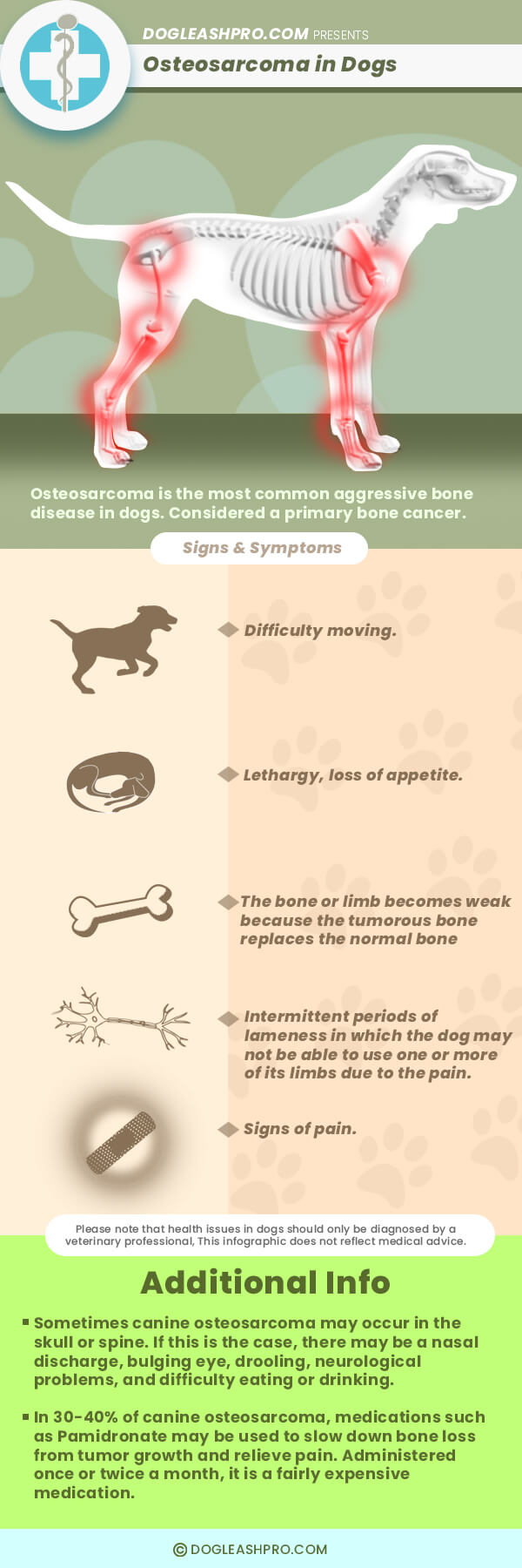 how do i know if my dog has bone cancer