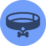 dogleashpro section icon