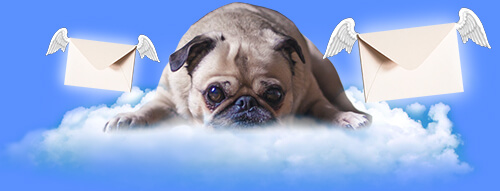 dog-on-cloud2