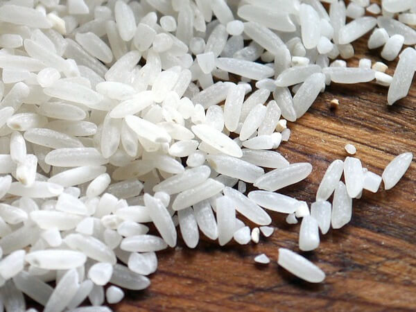 white rice like specks in stool