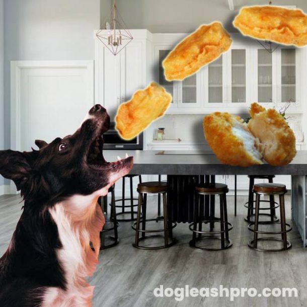 Can Dogs Eat Chicken Nuggets? Dog Leash Pro
