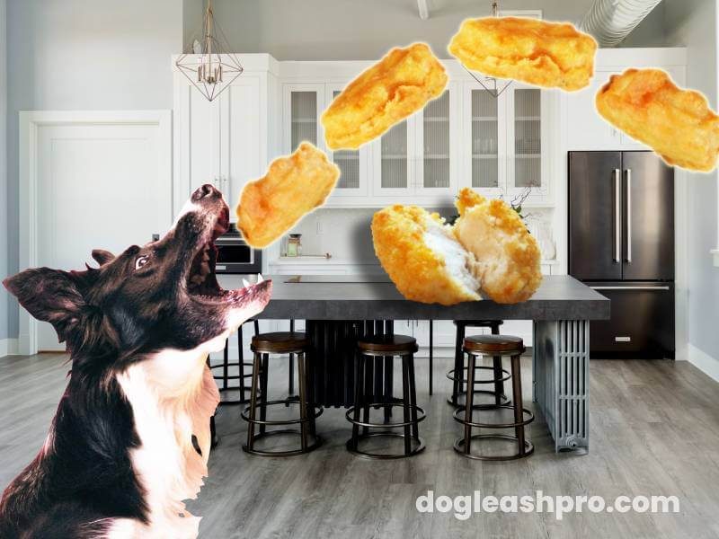 can dogs eat chicken nugget