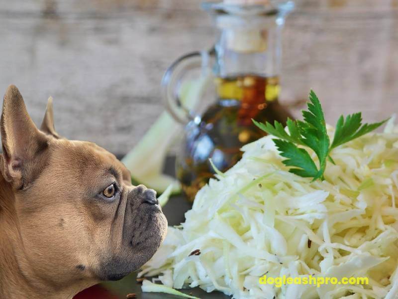 is potassium sorbate bad for dogs