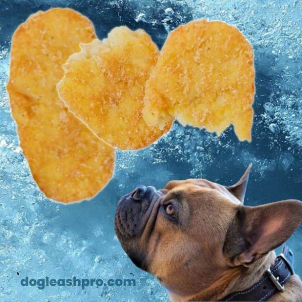 Can Dogs Eat Hash Browns? (Incl. McDonald’s and Trader Joe's) Dog