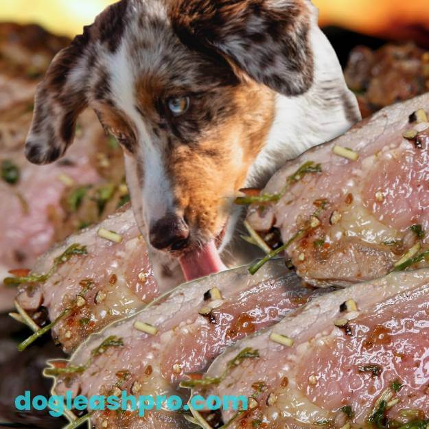 should-dogs-eat-cooked-or-raw-meat