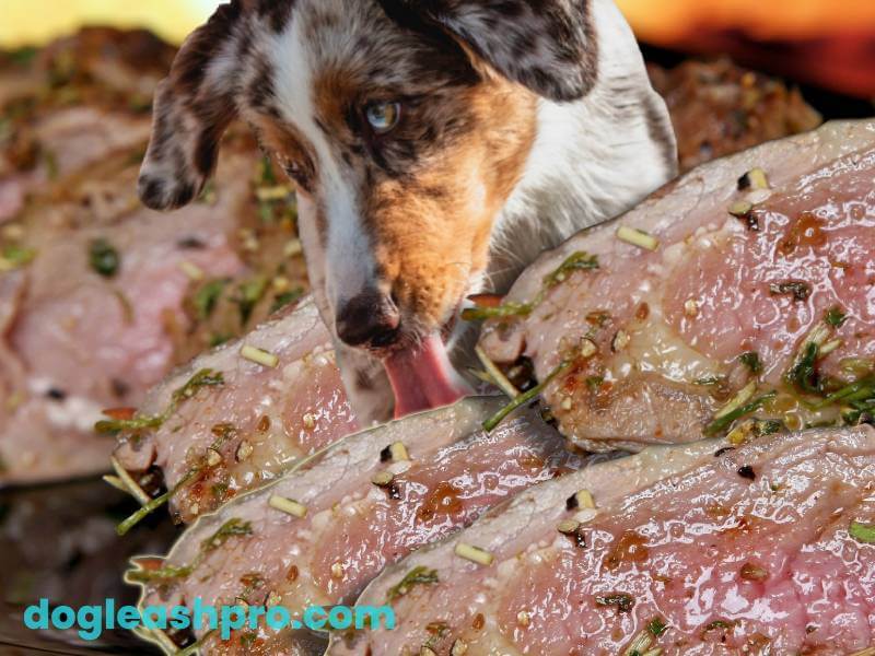 can dogs eat baked ham