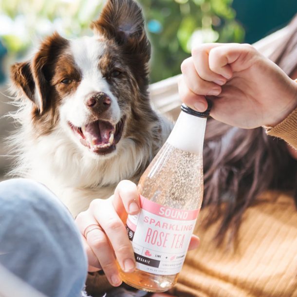 Can Dogs Drink Carbonated Water? Dog Leash Pro