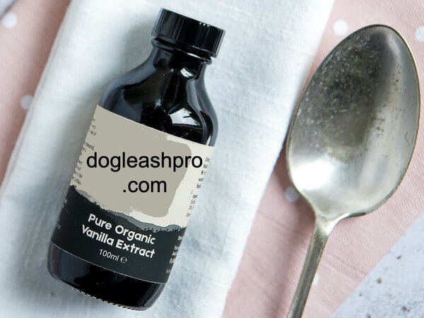 can dogs eat vanilla extract