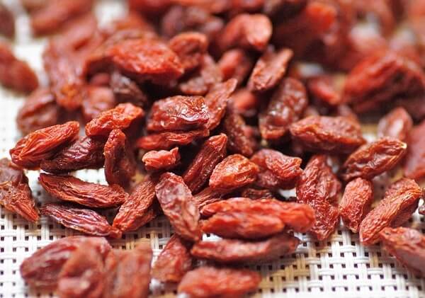 can dogs have goji berries