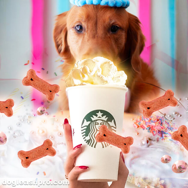 can dogs have puppuccino