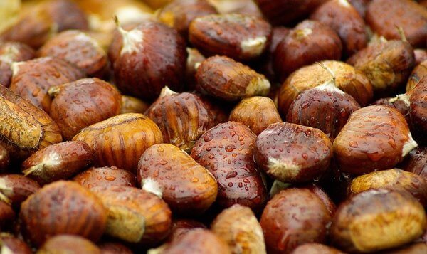 are chestnuts safe for dogs