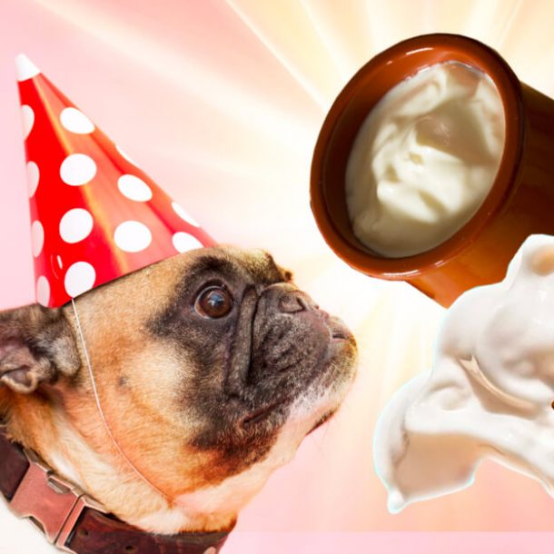 Can Dogs Eat Cream Of Mushroom Soup? The Creamy Truth! - Dog Leash Pro