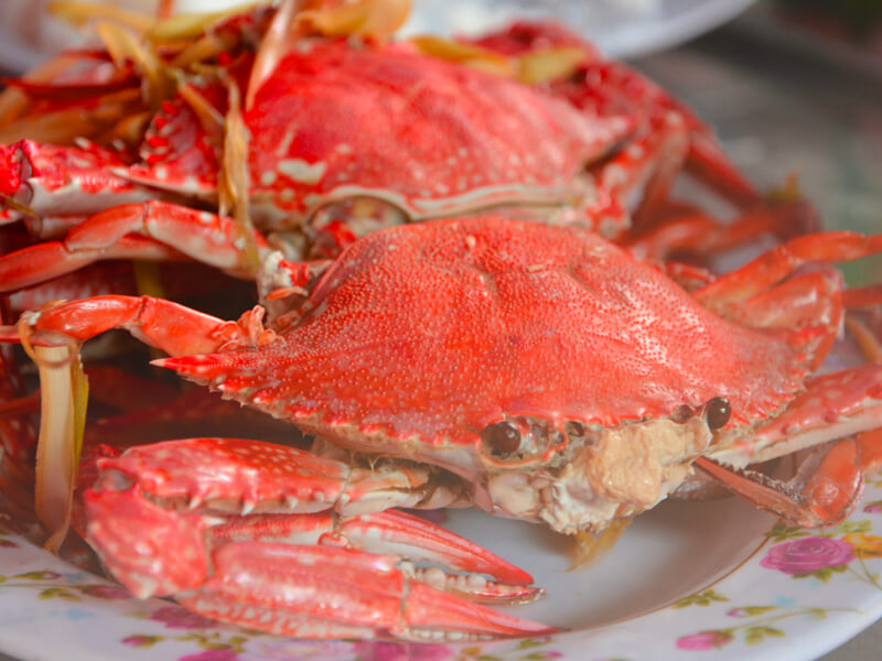 crab shells on a plate