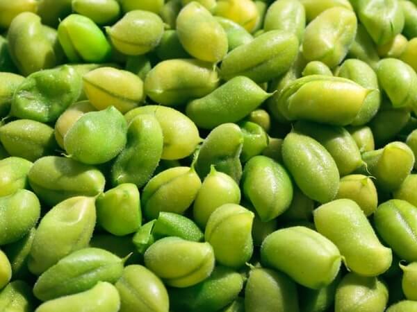 are edamame pods safe for dogs