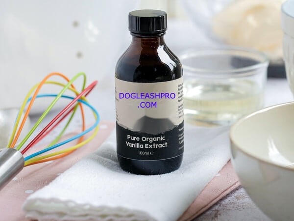 fortune cookie ingredients vanilla extract