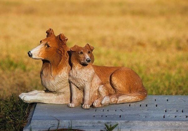 how long does it take for a buried dog to decompose