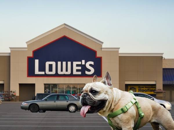 is lowes dog friendly