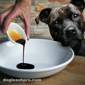 Can Dogs eat Balsamic vinegar
