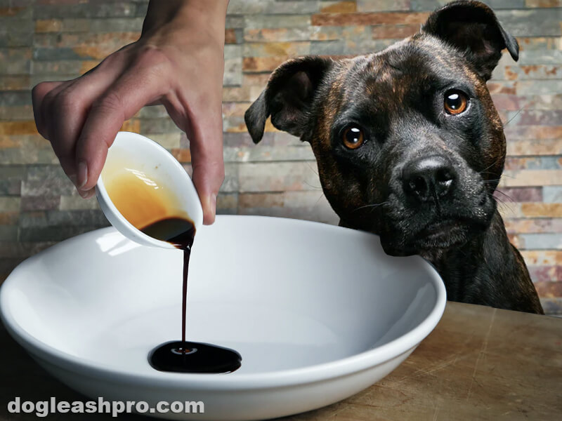 will soy sauce hurt dogs