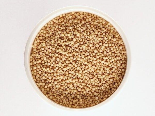 amaranth seeds nutrition