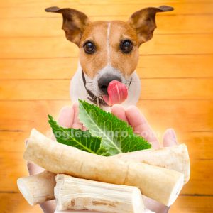can dogs eat horseradish