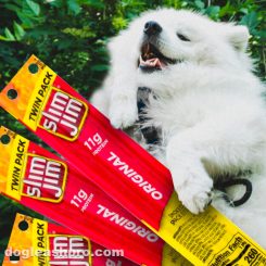 can dogs eat slim jims