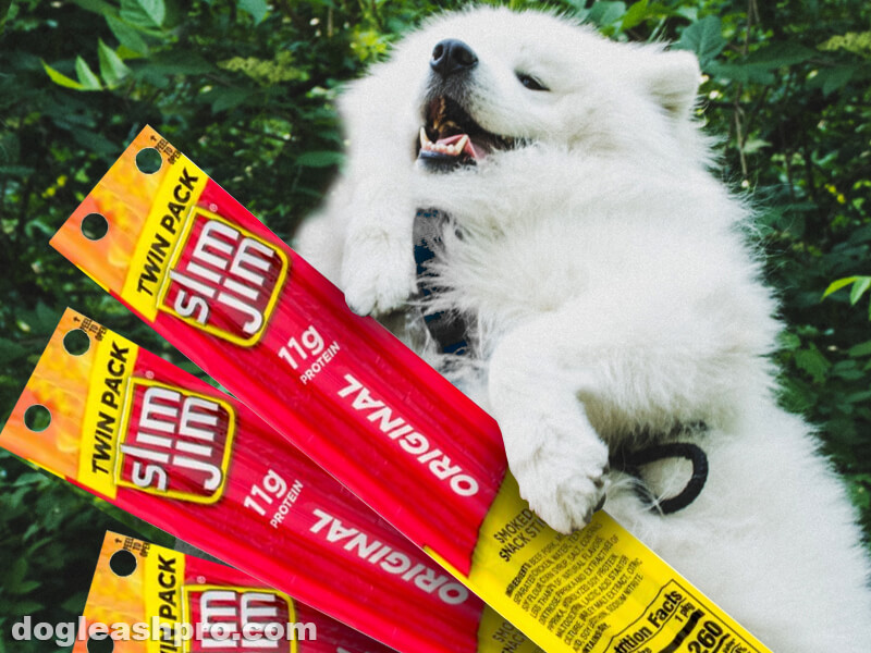 can dogs eat slim jims