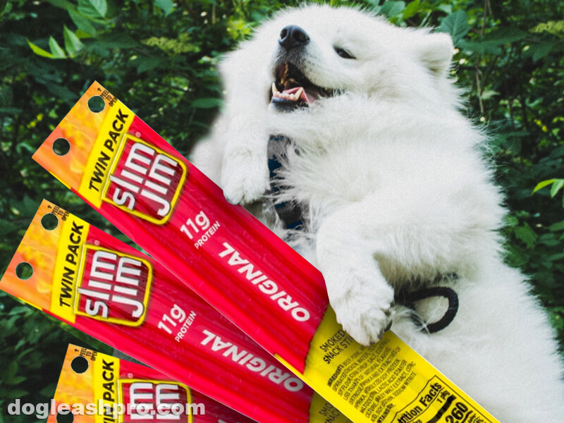 are slim jims safe for dogs