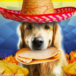 can dogs eat tamales