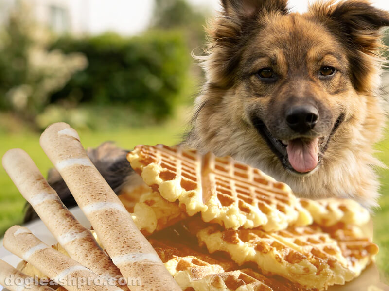 can dogs eat vanilla wafers and cookies