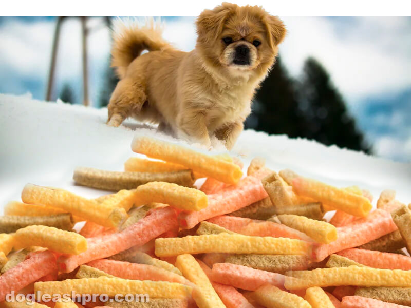 Can Dogs Eat Veggie Straws? - Dog Leash Pro