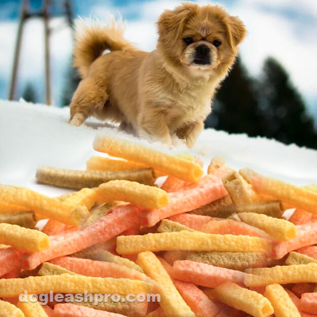 are chips harmful to dogs