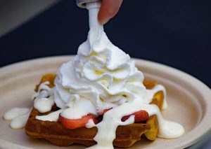 Can Dogs Eat Whipped Cream? Is Whipped Cream Bad For dogs? - Dog Leash Pro